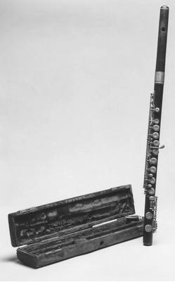 Transverse Flute (ca. 1880–1900) — Flute, photograph from The Met