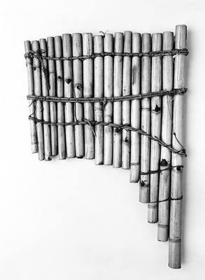 Enkwanzi (panpipe) (late 19th century) — Pan flute, photograph from The Met