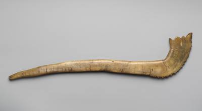 Shofar (18th or 19th century) — Shofar, photograph from The Met