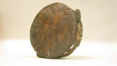 Riq رق (Tambourine) (late 19th century) — Tambourine, photograph from The Met