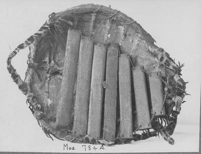Xylophone (19th century) — Xylophone, photograph from The Met